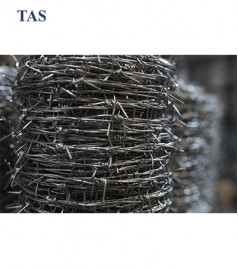 Two-basic barbed wire, zinc coated, “IOWA” type